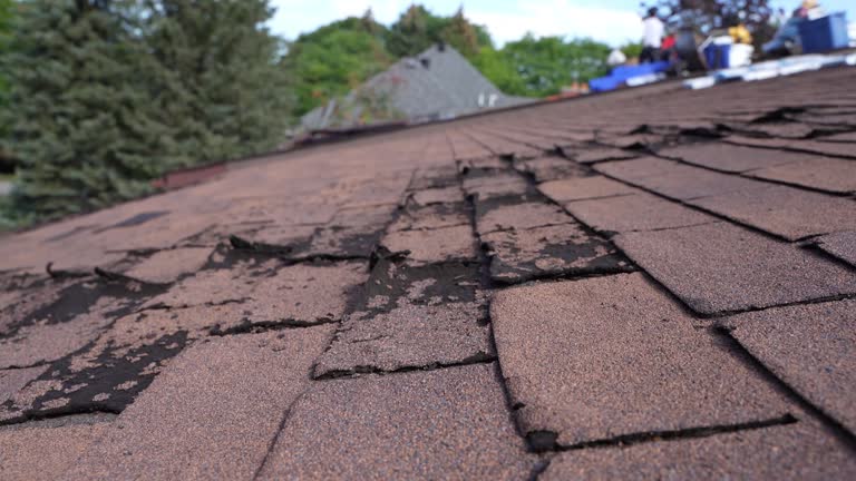 Best Metal Roofing Installation  in East Massapequa, NY
